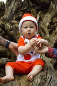 Christmas family photo shoot in Bryanston pine forest